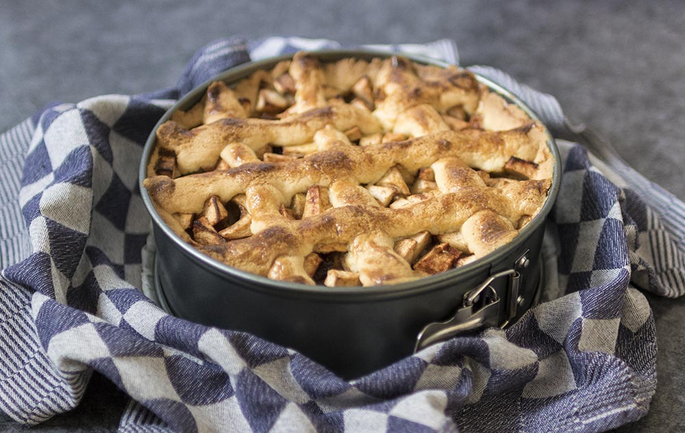 Apfel-Zimt-Proteinkuchen