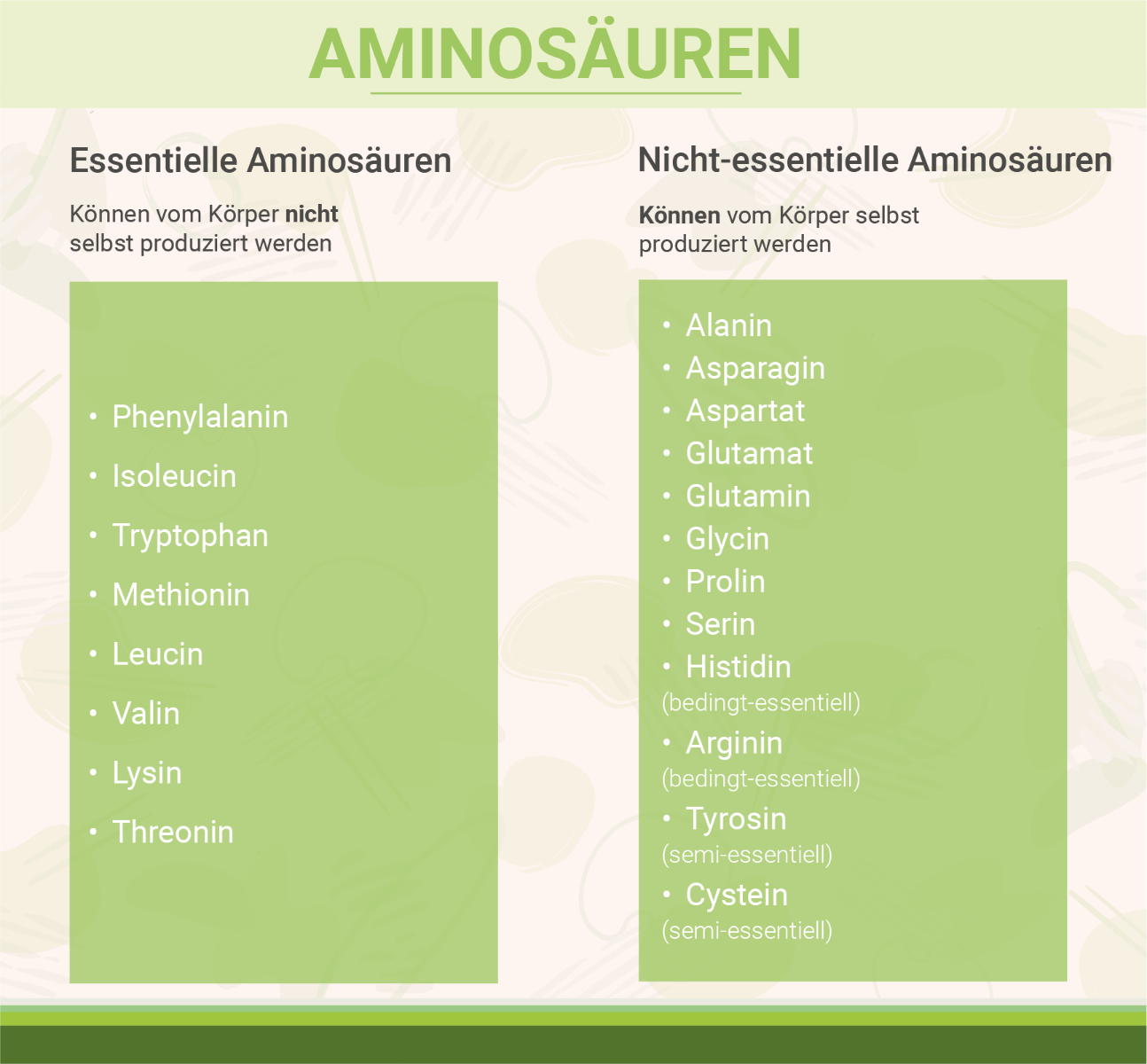 infografik-essentielle-aminosaeuren-nicht-essentielle-aminosaeuren