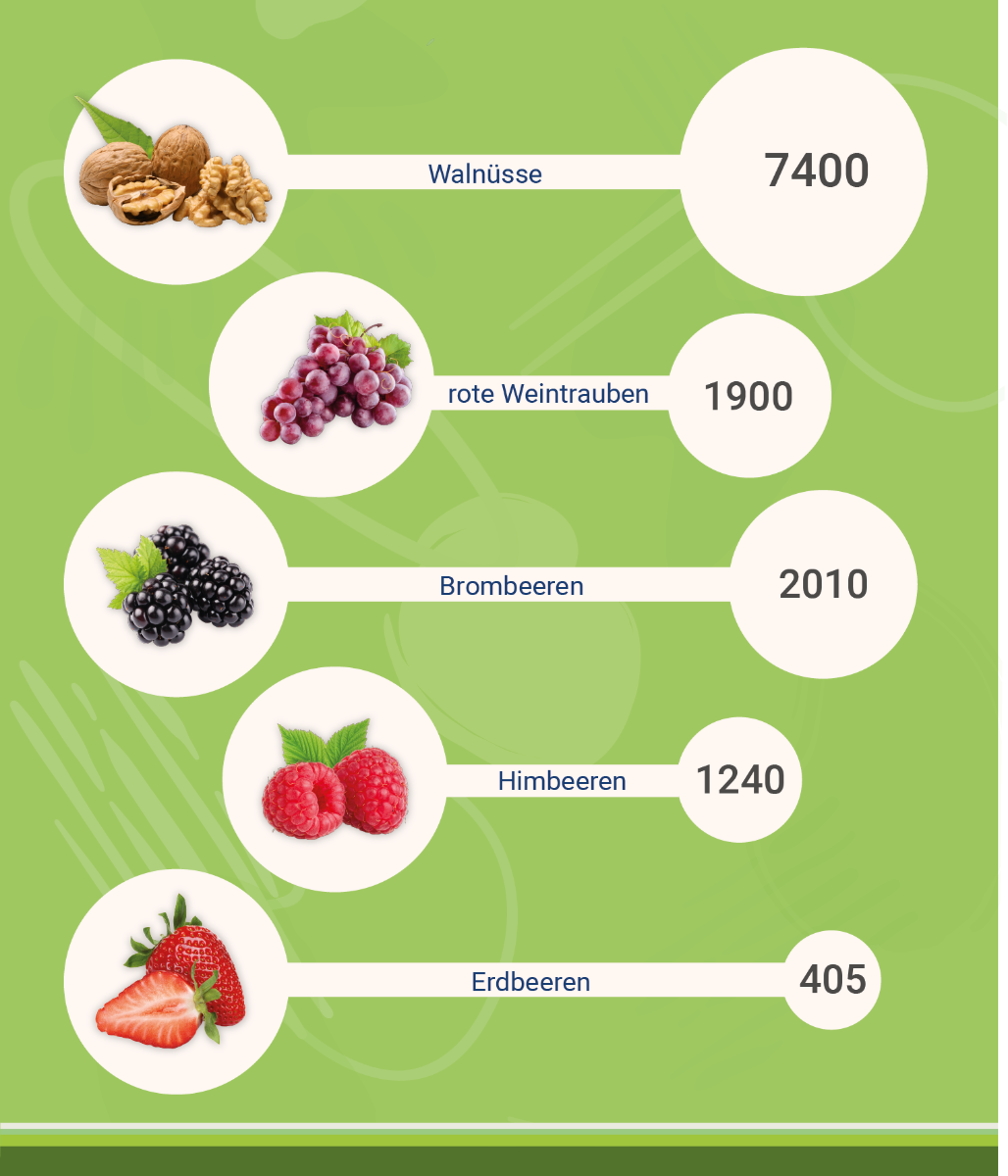 infografik-ellagsaeure_vorkommen