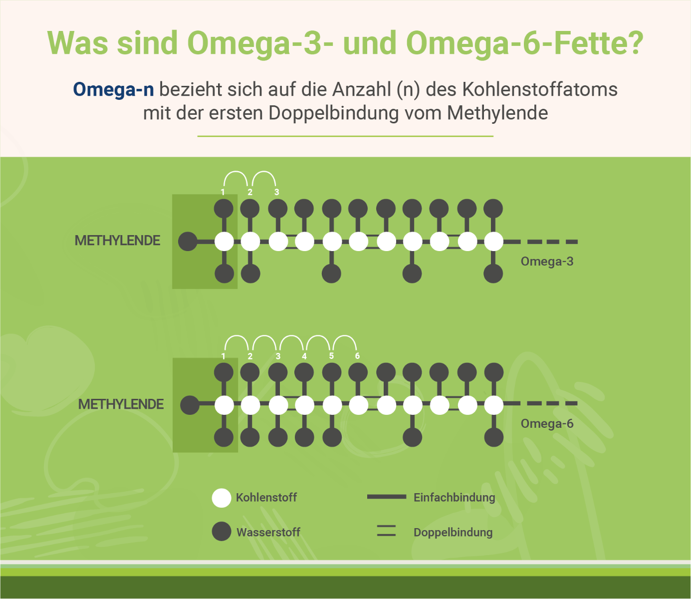 infografik-was-sind-omega-3-und-omega-6-fette