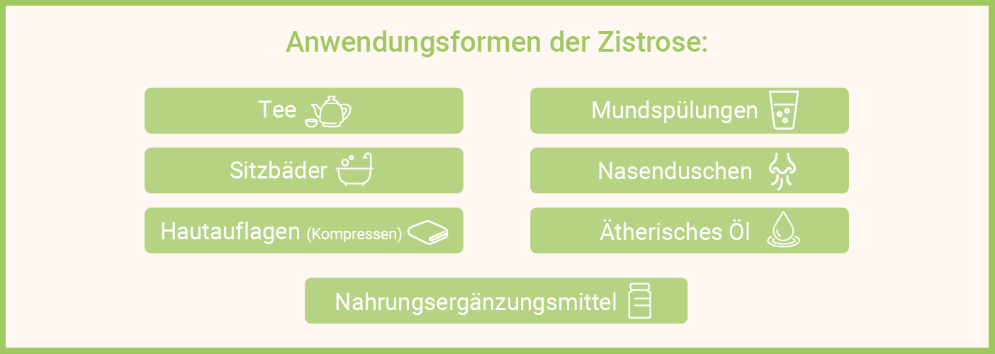 Infografik: So kannst Du Zistrose anwenden