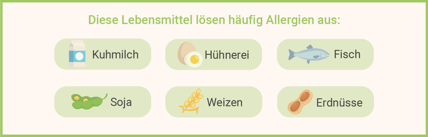 Infografik: IgE-Test Lebensmittel als Allergieauslöser