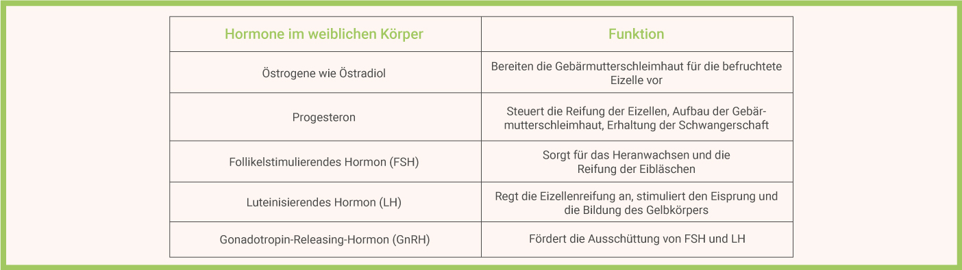 Hormonhaushalt natürlich regulieren