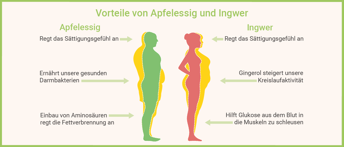 Infografik: Apfelessig zum Abnehmen