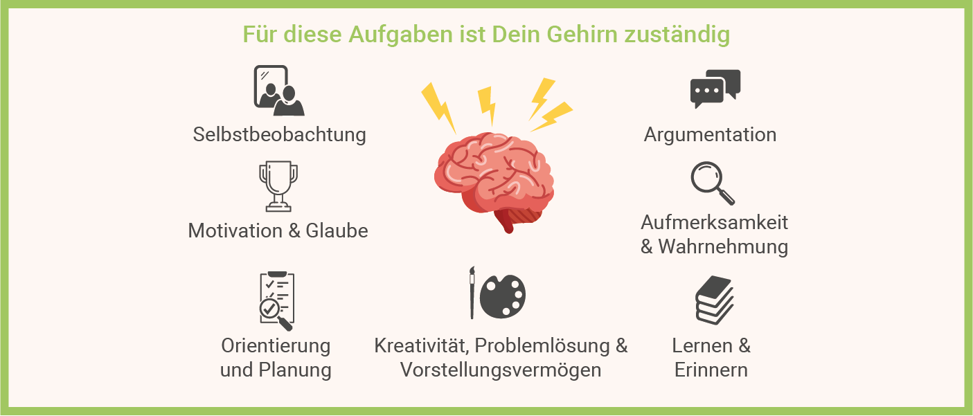 Infografik: Gedächtnis verbessern - Aufgaben Gehirn