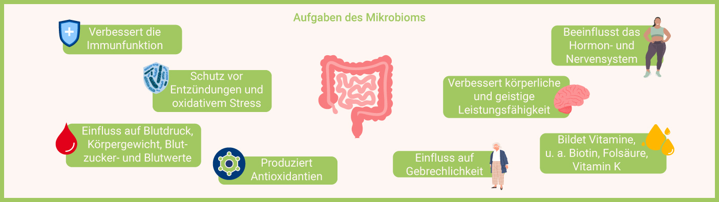 Aufgaben Mikrobiom