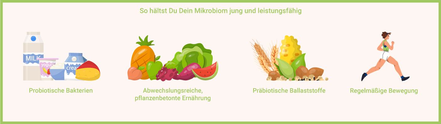 Mikrobiom jung und leistungsfähig halten