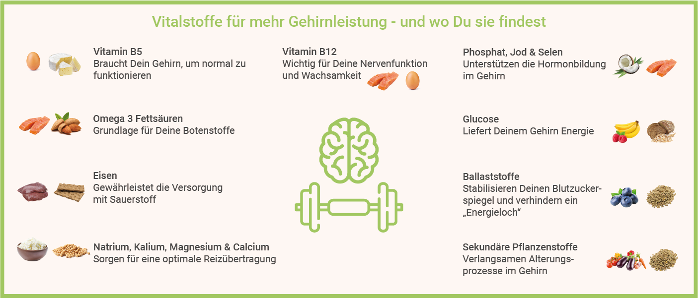 Infografik: Gedächtnis verbessern - Vitamine fürs Gehirn