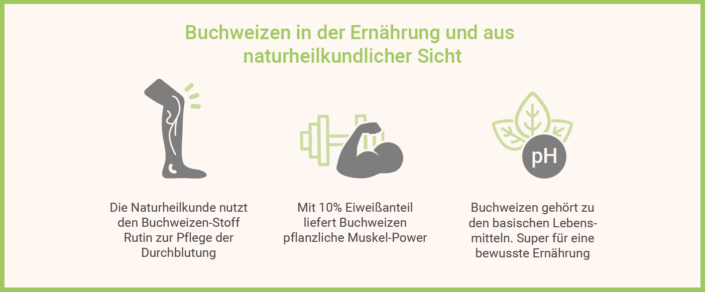 Infografik: Buchweizen in der Ernährung und aus naturheilkundlicher Sicht