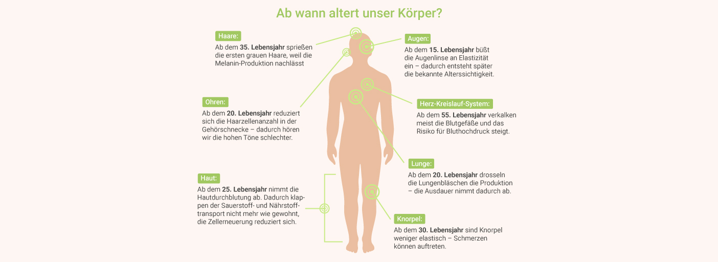 Ab wann altert unser Körper